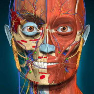 3d解剖学AnatomyLearning