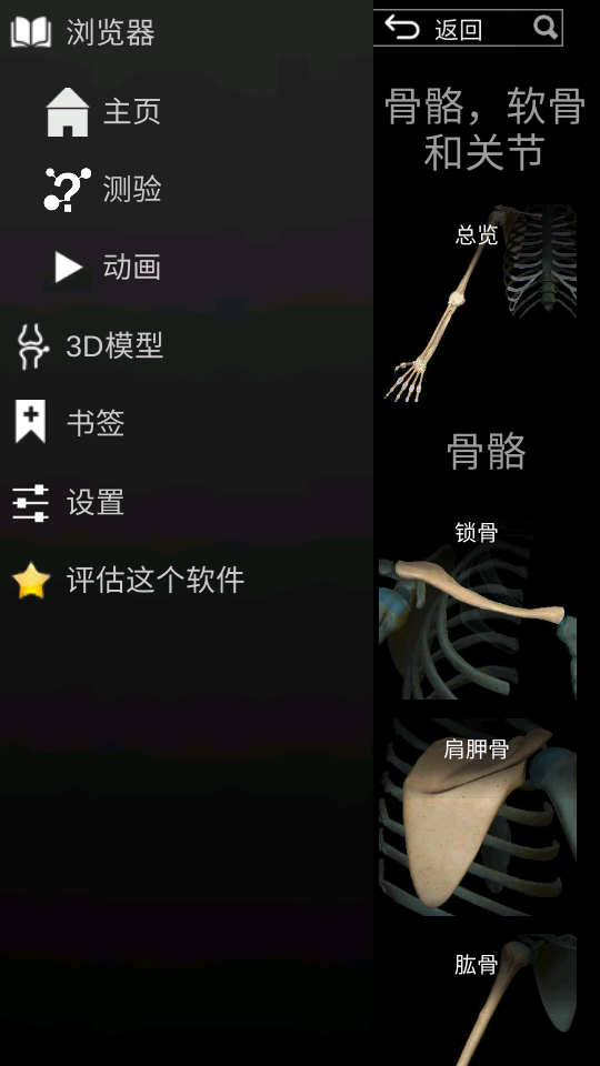 3d解剖学AnatomyLearning