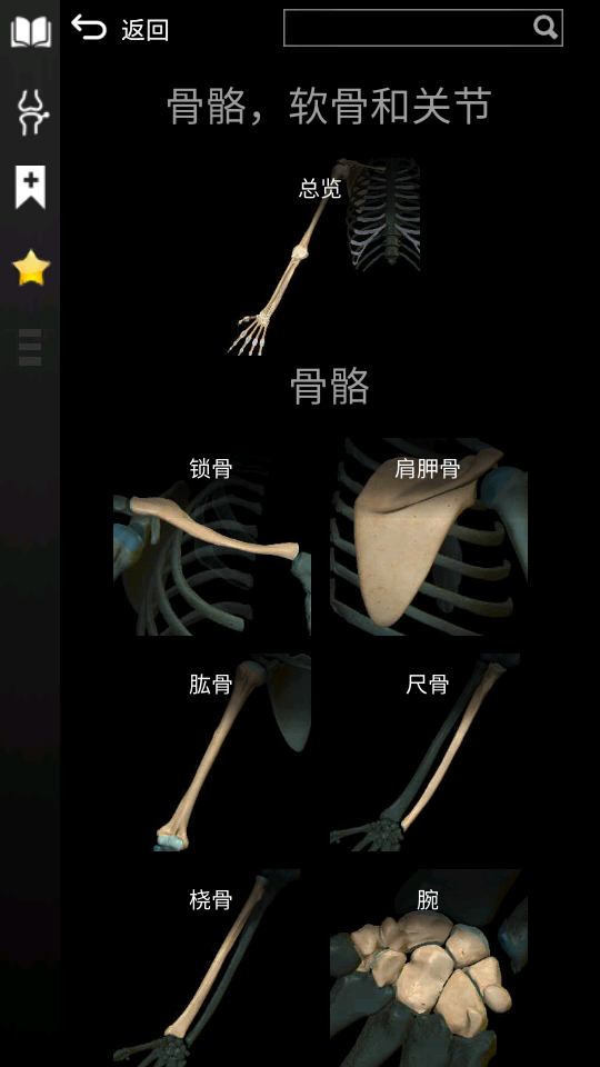 3d解剖学AnatomyLearning