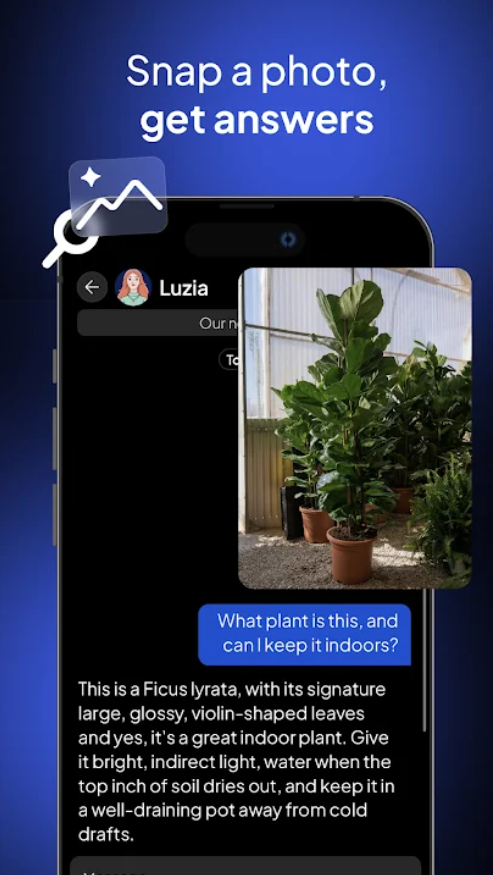 Luzia AI