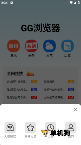 GG浏览器