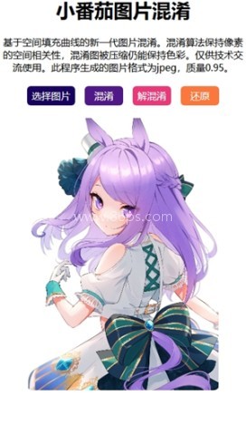 图片混淆最新版本