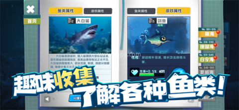 鱼吃鱼全部鱼解锁版 鱼吃鱼全部鱼解锁版