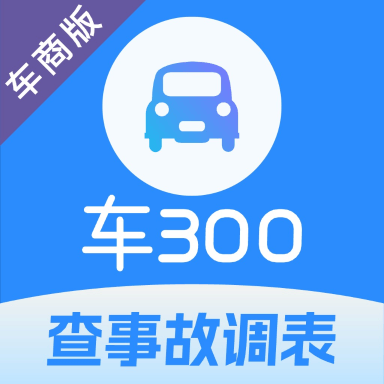 车300专业版