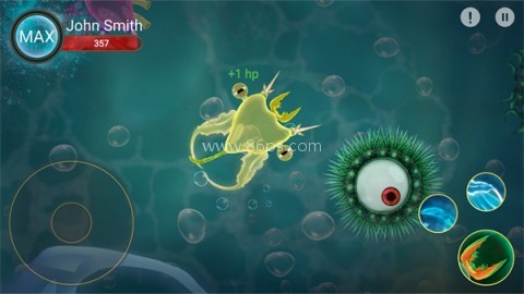 微生物世界孢子进化