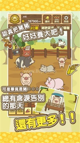 富豪养猪场 第2张图