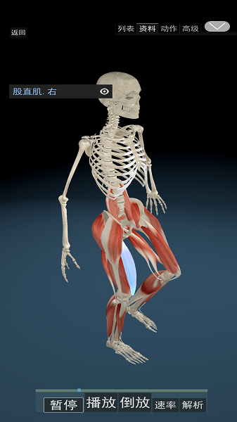 3D运动解剖