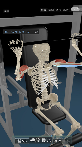 3D运动解剖